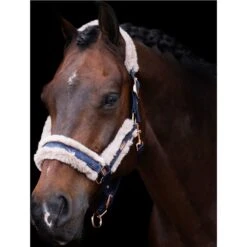 2023 HV Polo Welmoed Shine Headcollar 1601093452 - Navy Colour Navy -Equestrian Sports Store 6943 4479fbad1324eab923fa7919ef64bb06ef5a2bbd 1601093452 5001 mfront.700x700