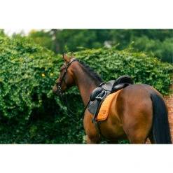 2023 HV Polo Dorian Dressage Saddle Pad 802093510 - Ginger Colour Ginger -Equestrian Sports Store 6948 LA 04209.700x700