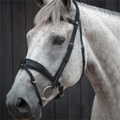 2023 Henry James Saddlery Dressage Bridle HJ-BR-03 - Black Colour Black -Equestrian Sports Store 6998 202320Henry20James20Saddlery20Dressage20Bridle20HJ BR 0320 20Black203.700x700