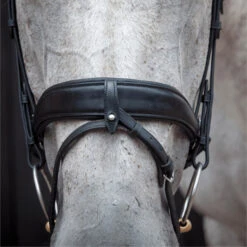 2023 Henry James Saddlery Dressage Bridle HJ-BR-03 - Black Colour Black -Equestrian Sports Store 6998 202320Henry20James20Saddlery20Dressage20Bridle20HJ BR 0320 20Black204.700x700