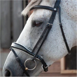 2023 Henry James Saddlery Patent Dressage Bridle With White Padding HJ-BR-07 - Black -Equestrian Sports Store 7005 202320Henry20James20Saddlery20Patent20Dressage20Bridle20with20White20Padding20HJ BR 0720 20Black204.700x700