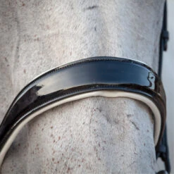 2023 Henry James Saddlery Patent Dressage Bridle With White Padding HJ-BR-07 - Black -Equestrian Sports Store 7005 202320Henry20James20Saddlery20Patent20Dressage20Bridle20with20White20Padding20HJ BR 0720 20Black205.700x700