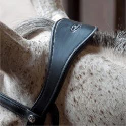 2023 Henry James Saddlery Patent Dressage Bridle With White Padding HJ-BR-07 - Black -Equestrian Sports Store 7005 202320Henry20James20Saddlery20Patent20Dressage20Bridle20with20White20Padding20HJ BR 0720 20Black206.700x700
