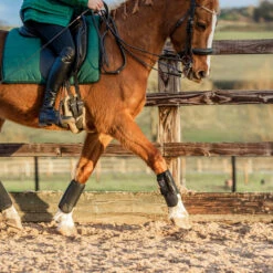 Equilibrium Tri-Zone All Sports Boots Black -Equestrian Sports Store ASB20Black20Set20120Web.700x700