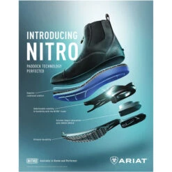 Ariat Womens Devon Nitro Zip Paddock Boots Black -Equestrian Sports Store Ariat Womens Devon Nitro Zip Paddock Boots Wax Chocolate Tech.700x700 1