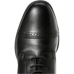 Ariat Womens Capriole Long Riding Boots Black 8 Ariat Womens Capriole Long Riding Boots Black -Equestrian Sports Store Ariat20Womens20Capriole20Long20Riding20Boots20Black20Toe.700x700