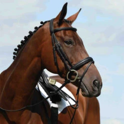 Collegiate Syntovia+ Padded Raised Flash Bridle - Black Colour Black