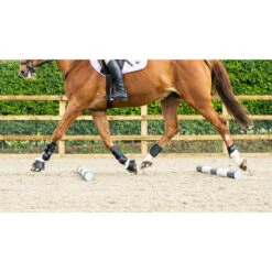 Woof Wear Pro Tendon Boots Black -Equestrian Sports Store DSC2512.700x700
