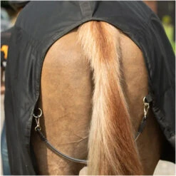 Equilibrium Magnetic Rug With Neck - Black 13 Equilibrium Magnetic Rug With Neck - Black -Equestrian Sports Store Equilibrium Magnetic Rug with Neck Black 6.700x700