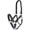 Equilibrium Stellar Headcollar - Black