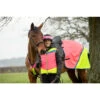 2022 Equisafety Charlotte Dujardin Hi Vis Multi Coloured Horse Sheet CD-MCQWS - Pink / Yellow