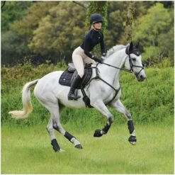 2021 Woof Wear IVent Overreach Boot WB0071 - Black Colour Black -Equestrian Sports Store PiLa5nWM.700x700 1