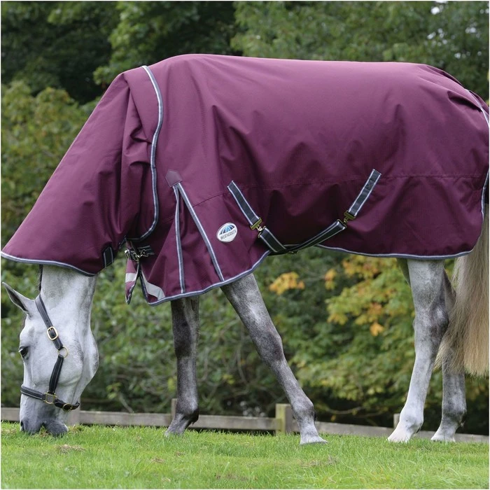 2023 Weatherbeeta Comfitec Plus Dynamic II Detach-A-Neck Medium Turnout Rug 10069170 - Maroon / Grey / White Colour Grey/White/Maroon 1 2023 Weatherbeeta Comfitec Plus Dynamic II Detach-A-Neck Medium Turnout Rug 10069170 - Maroon / Grey / White Colour Grey/White/Maroon