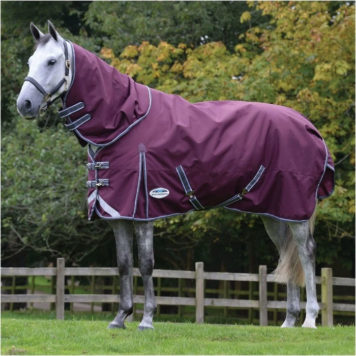 Weatherbeeta Comfitec Plus Dynamic II Medium-Lite Detach-A-Neck Turnout Rug - Maroon / Grey 1 Weatherbeeta Comfitec Plus Dynamic II Medium-Lite Detach-A-Neck Turnout Rug - Maroon / Grey