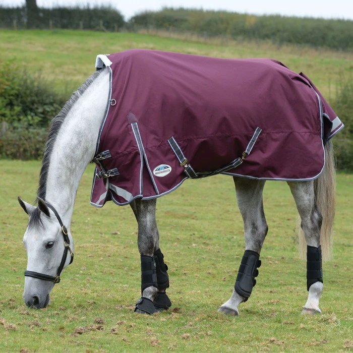 2022 Weatherbeeta Comfitec Plus Dynamic II Medium-Lite Standard Neck Turnout Rug - Maroon / Grey 1 2022 Weatherbeeta Comfitec Plus Dynamic II Medium-Lite Standard Neck Turnout Rug - Maroon / Grey