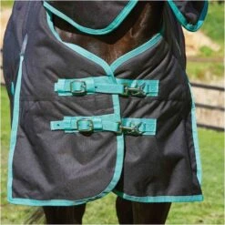 Weatherbeeta Green-Tec 900D Detatch-A-Neck Medium - Black / Bottle Green -Equestrian Sports Store Weatherbeeta20Green Tec20900D20Deatch A Neck20Lite20Plus20 20Black20Bottle20Green205.700x700