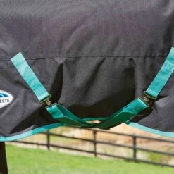 Weatherbeeta Green-Tec 900D Lite Plus Detach-A-Neck Rug - Black / Bottle Green -Equestrian Sports Store Weatherbeeta20Green Tec20900D20Deatch A Neck20Lite20Plus20 20Black20Bottle20Green207.700x700 1