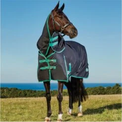 Weatherbeeta Green-Tec 900D Detatch-A-Neck Medium - Black / Bottle Green -Equestrian Sports Store Weatherbeeta20Green Tec20900D20Deatch A Neck20Lite20Plus20 20Black20Bottle20Green208.700x700