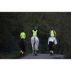 2022 Weatherbeeta Reflective Wrap Around Exercise Sheet 1004324 - Silver / Black -Equestrian Sports Store Weatherbeeta20Reflective20Wrap20Around20Exercise20Sheet20Silver20Black201004324 lifestyle.700x700