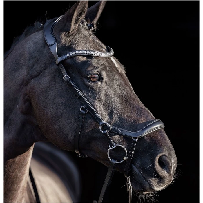 2023 HV Polo Legacy Anatomical Deluxe Bridle 1201093502 - Black 1 2023 HV Polo Legacy Anatomical Deluxe Bridle 1201093502 - Black