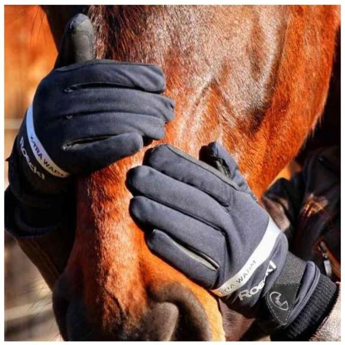 2021 Roeckl Wynne Gloves 301590 - Black 2 2021 Roeckl Wynne Gloves 301590 - Black - Image 2