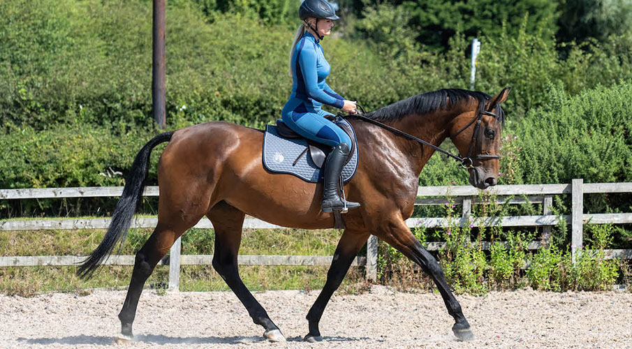 Equestrian Sports Store -Equestrian Sports Store 2