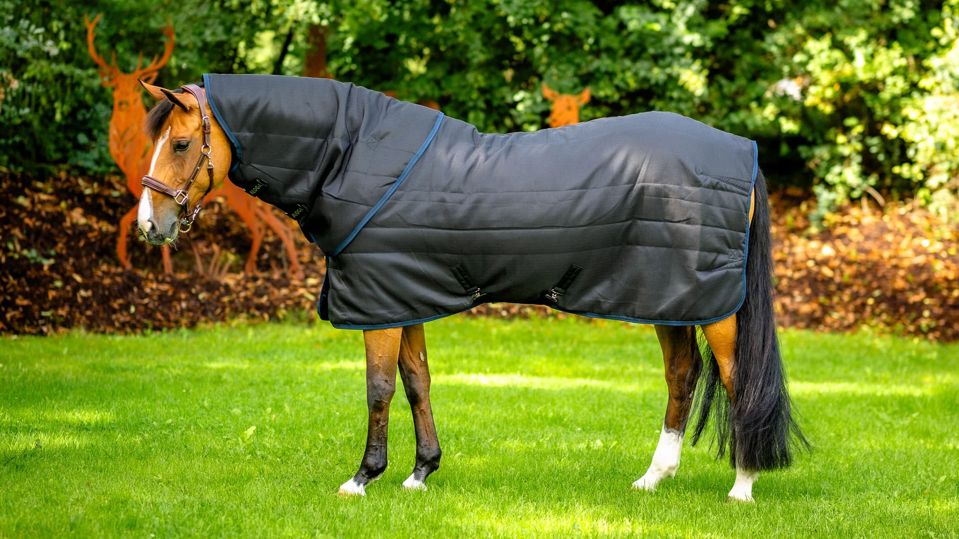 Equestrian Sports Store -Equestrian Sports Store 3