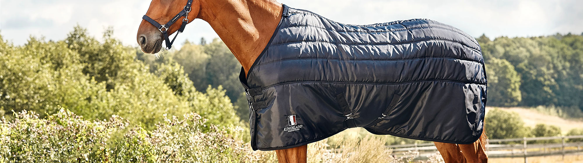 Equestrian Sports Store -Equestrian Sports Store 4